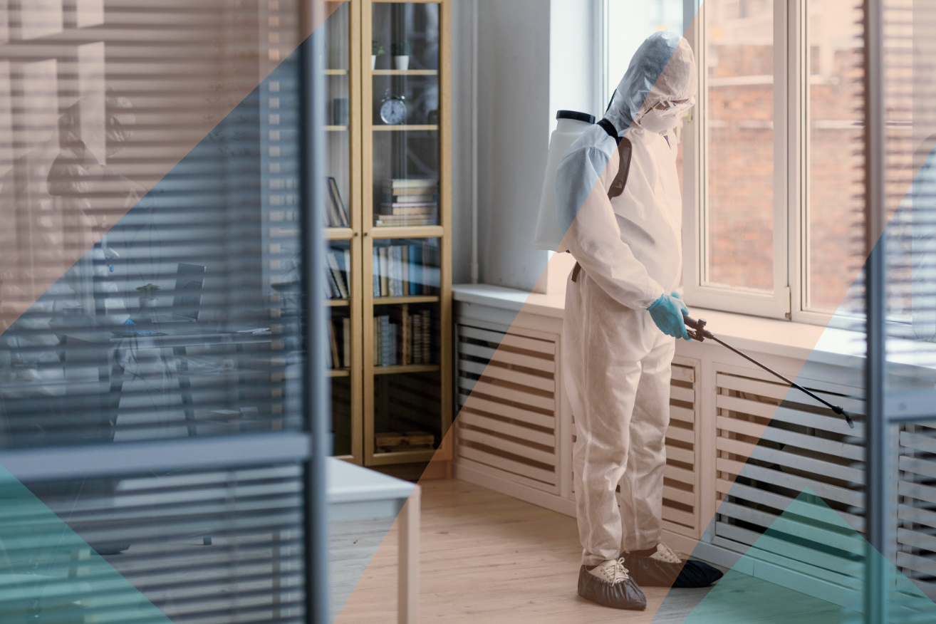 Comment se déroule une dératisation ?