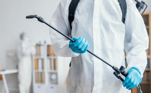 Les punaises de lit : élimination par soi-même ou professionnel ?